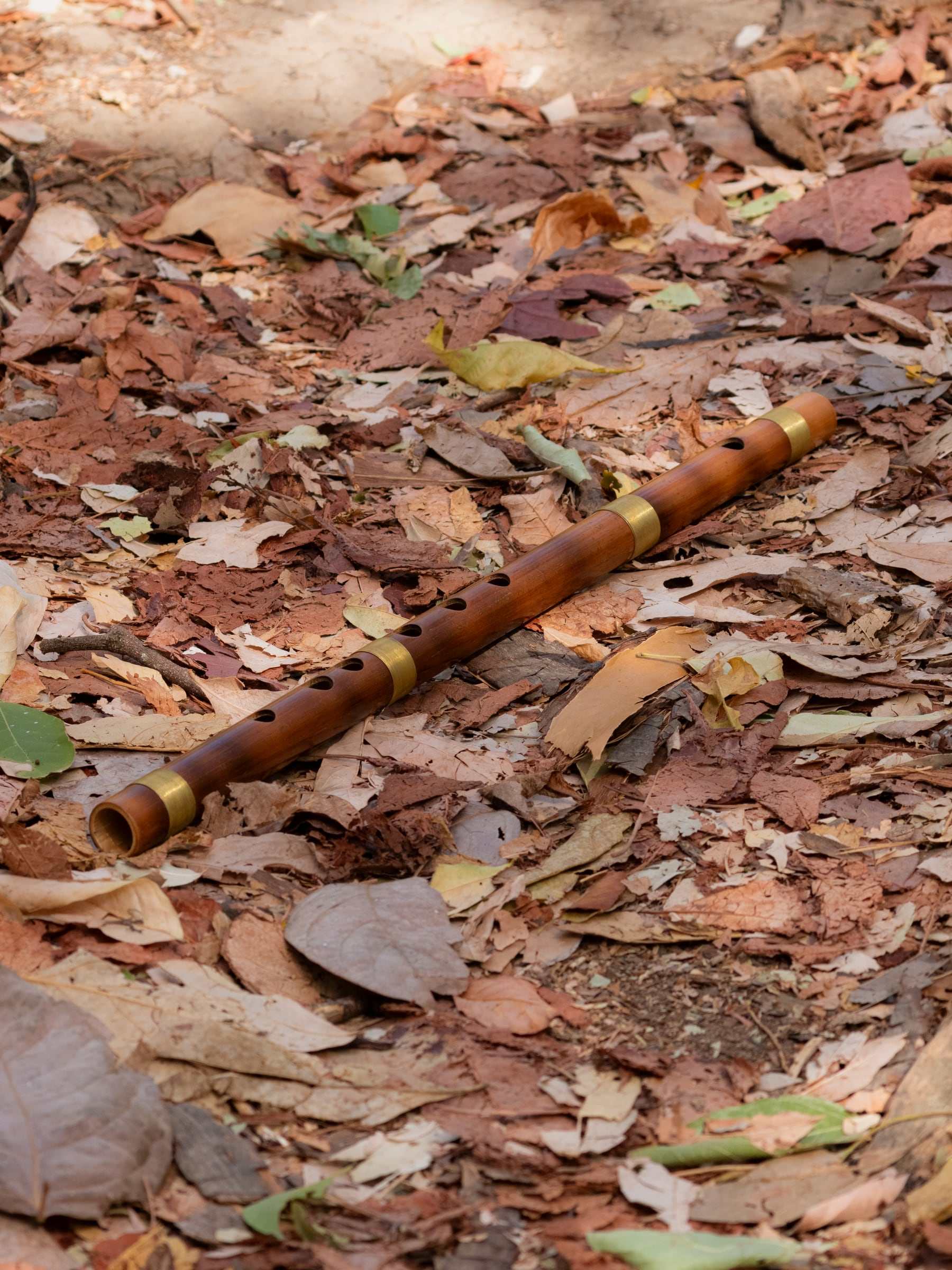 A bamboo bansuri lying on dry autumn leaves