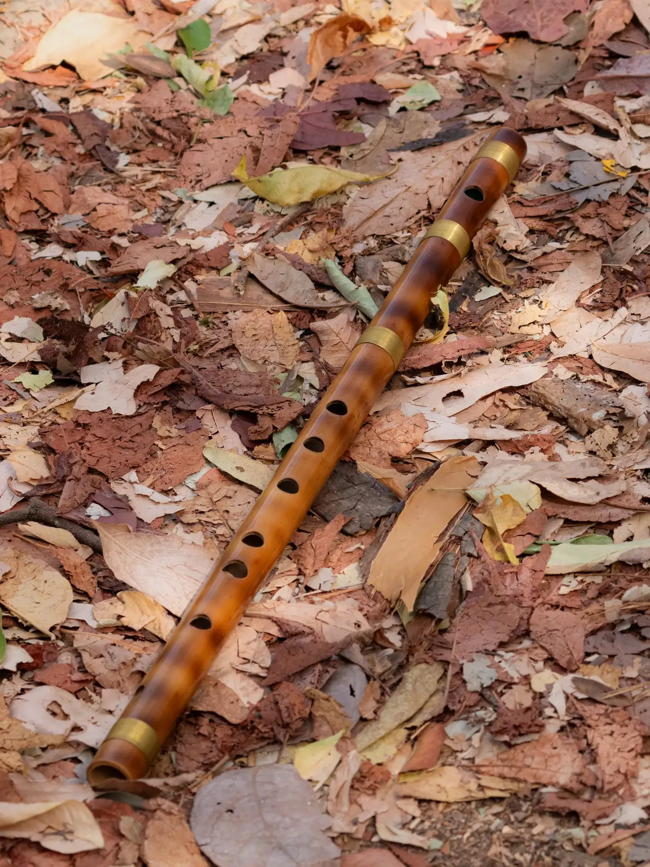 A bamboo bansuri lying on dry autumn leaves