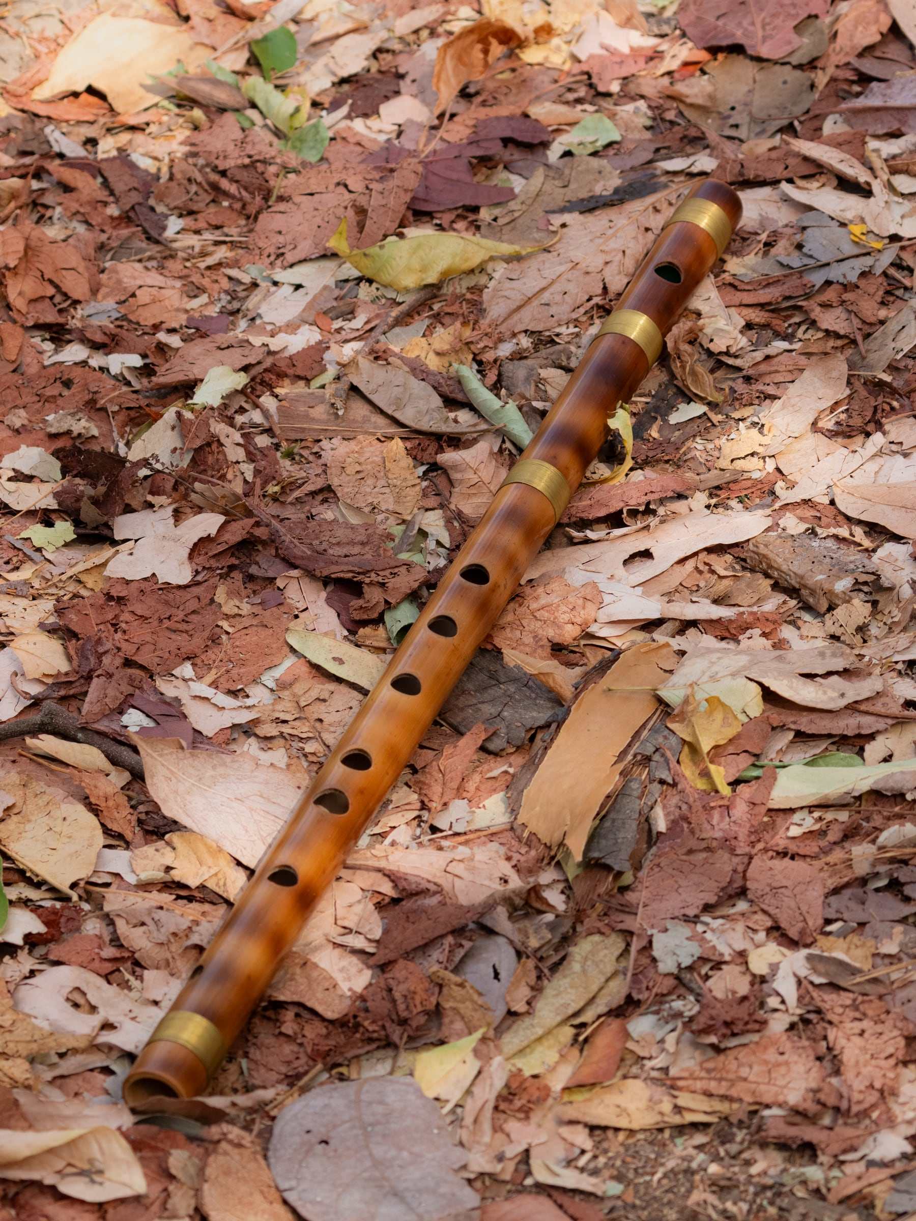 A bamboo bansuri lying on dry autumn leaves